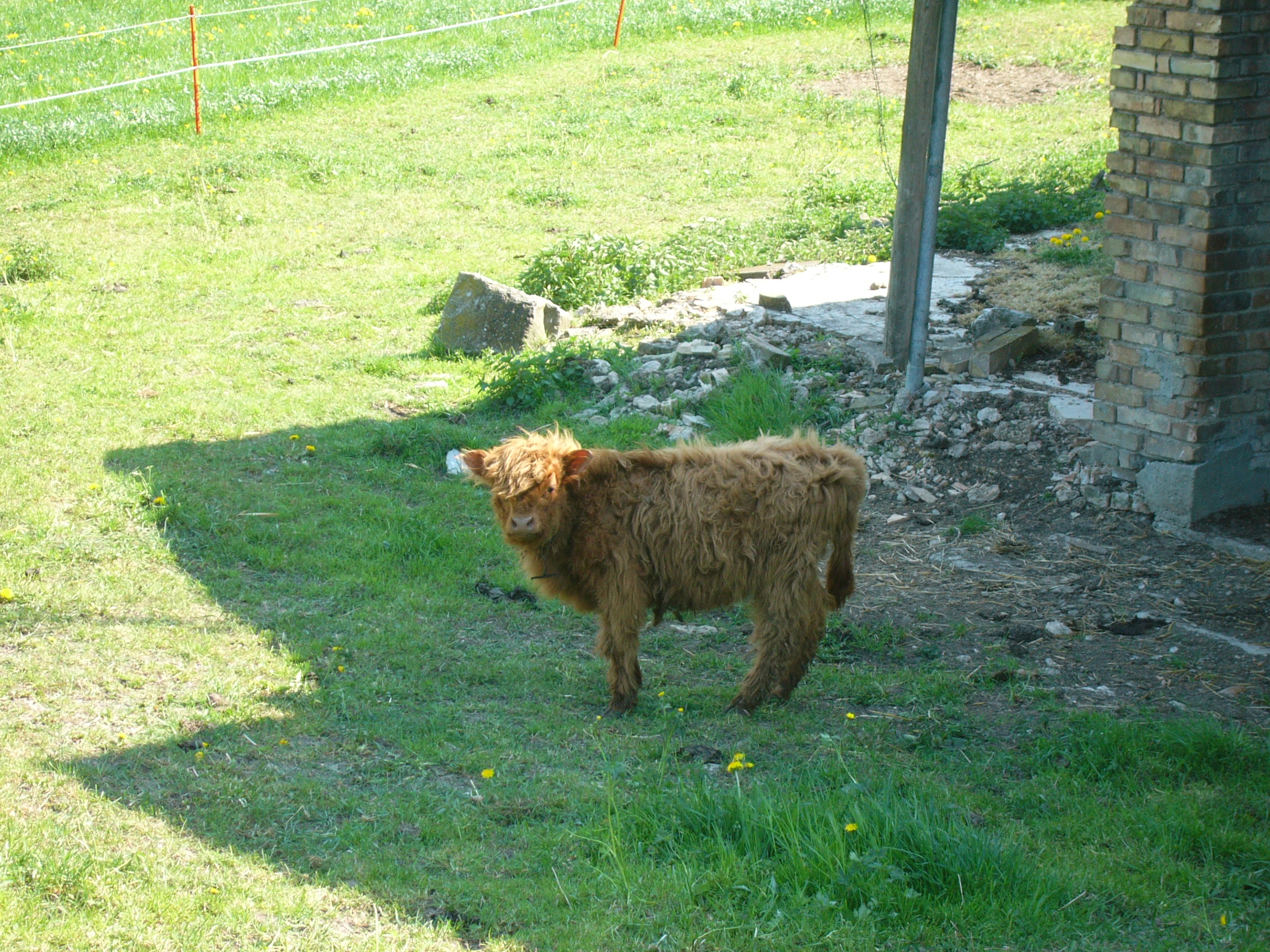 http://www.bonpourtonpoil.ch/images/P1000022.JPG