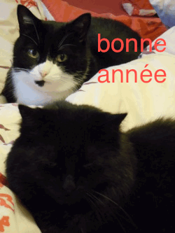 http://www.bonpourtonpoil.ch/images/bonneannee2012.gif