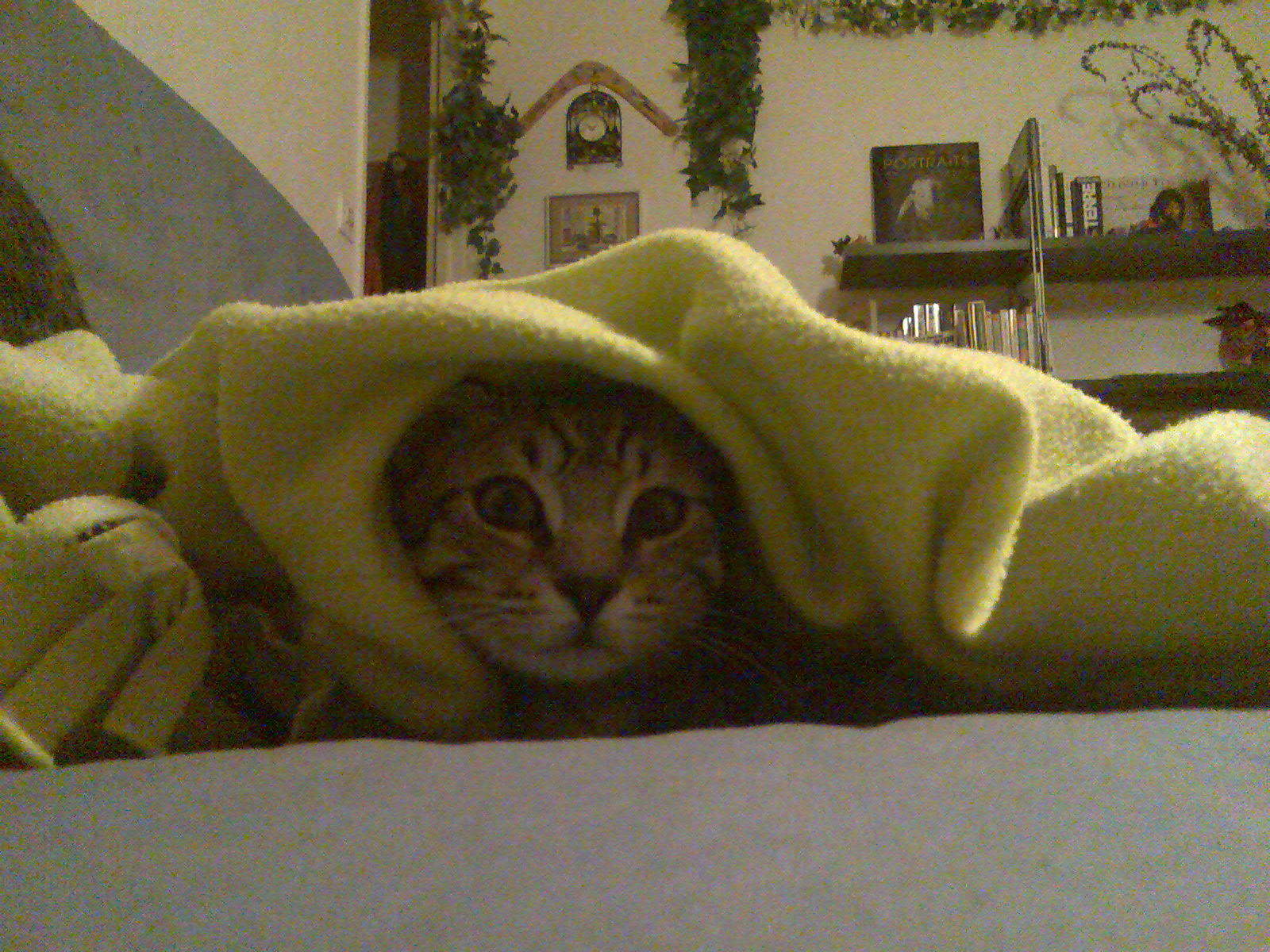 http://www.bonpourtonpoil.ch/wp-content/photo032.jpg